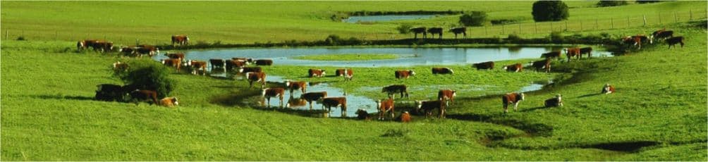 Endeudamiento agropecuario: números
