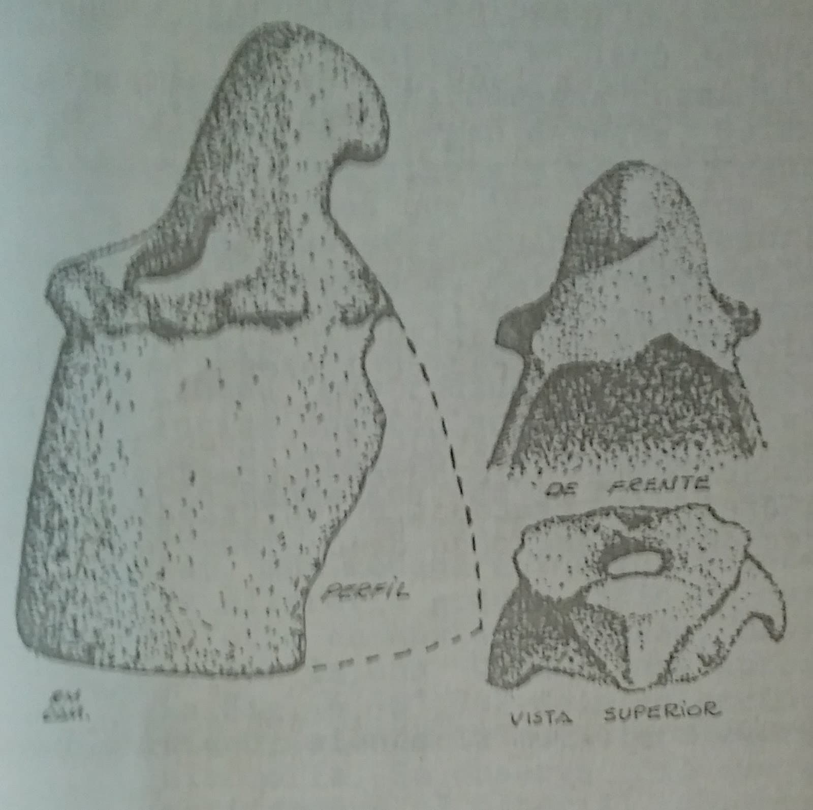 La colección de René Mora da vida al nuevo Museo Arqueológico de Juan Lacaze