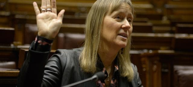 Claudia Hugo asumió como Diputada