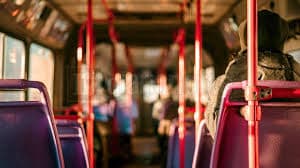 Transporte coloniense será recibido en la Junta