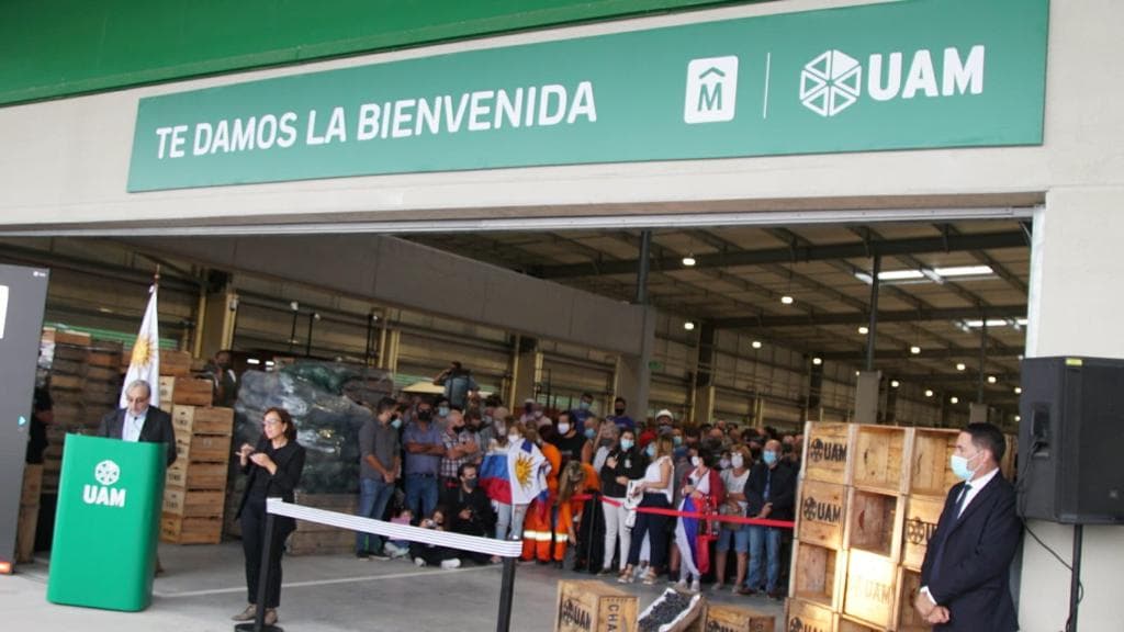 Uruguay de estreno. Adiós Mercado Modelo–bienvenida UAM