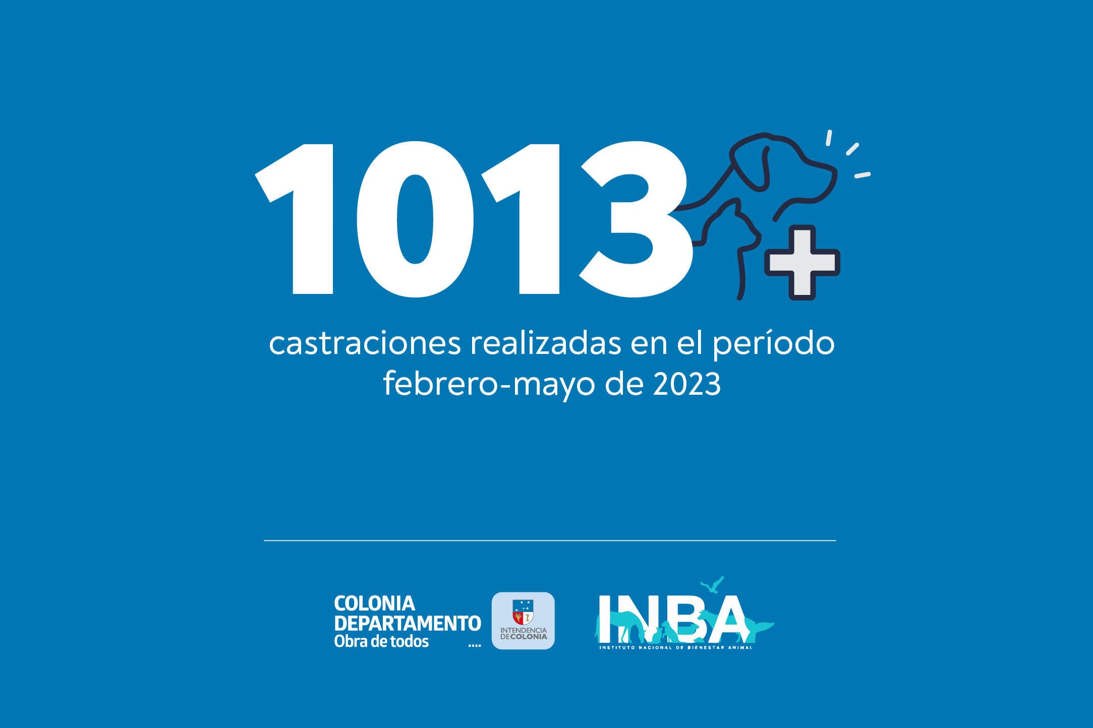 Colonia: 1013 castraciones realizadas en el período febrero-mayo de 2023