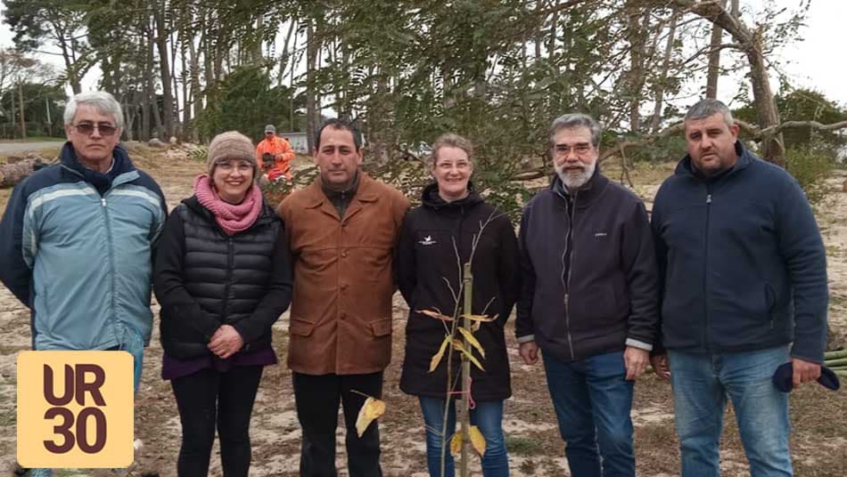 Comenzó reforestación de Costa del Inmigrante